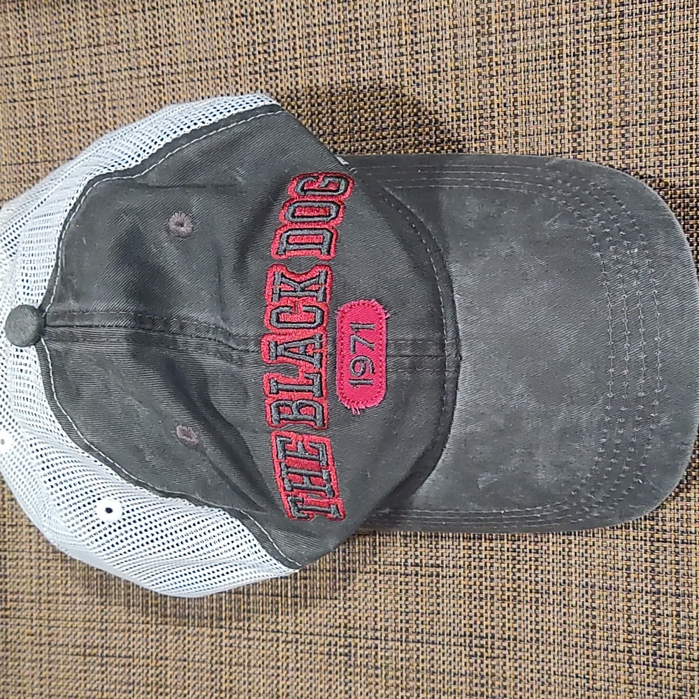Black dog hat